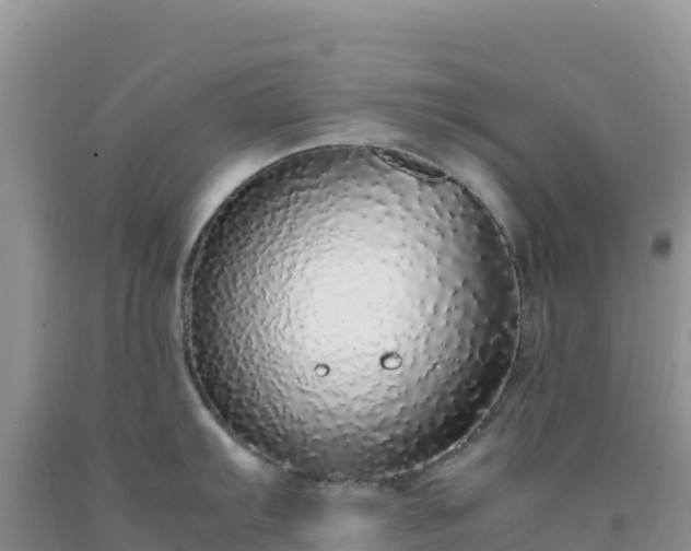 X0000092101103200709191301