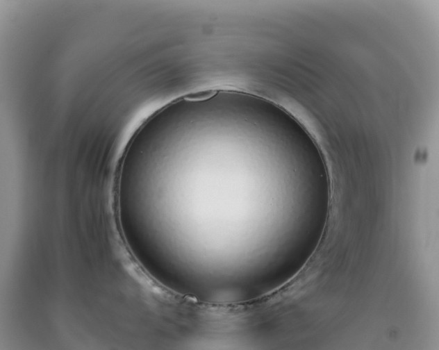 X0000092101104200709191301