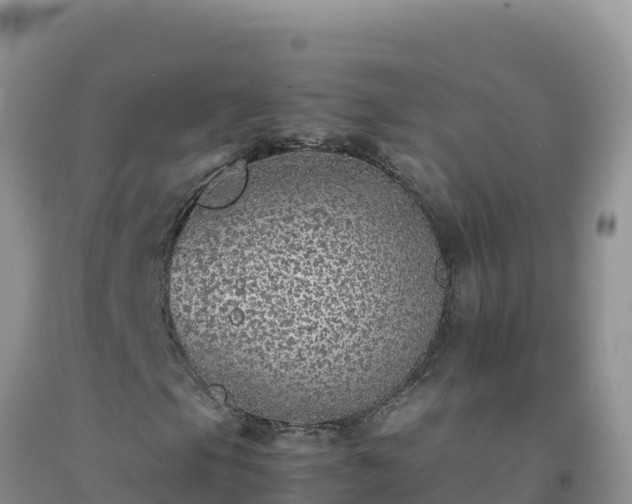 X0000092101105200709191301