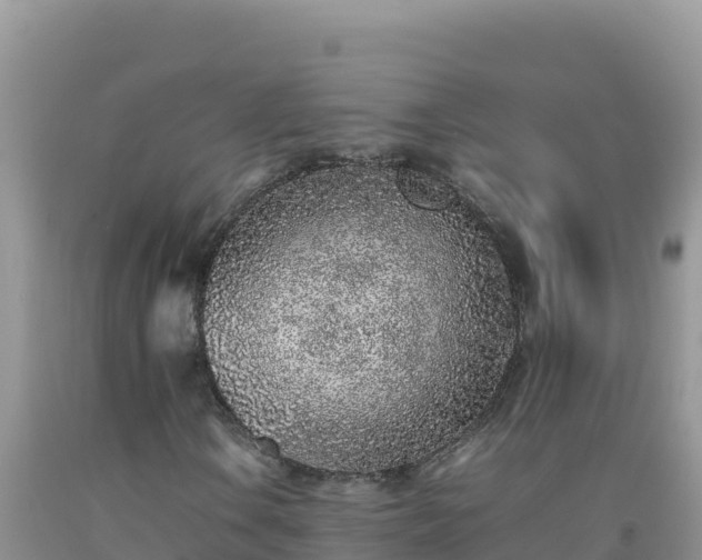 X0000092101106200709191301