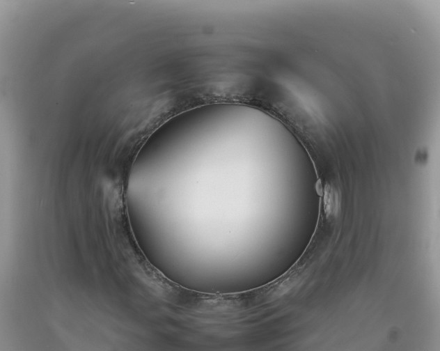 X0000092101107200709191301