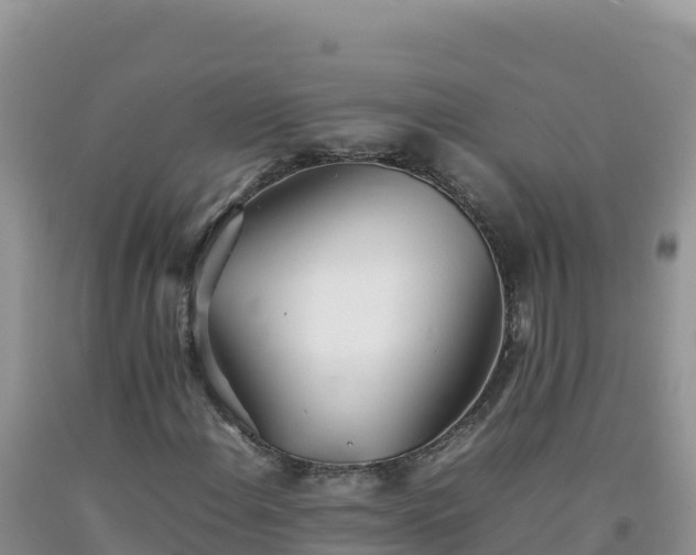 X0000092101108200709191301