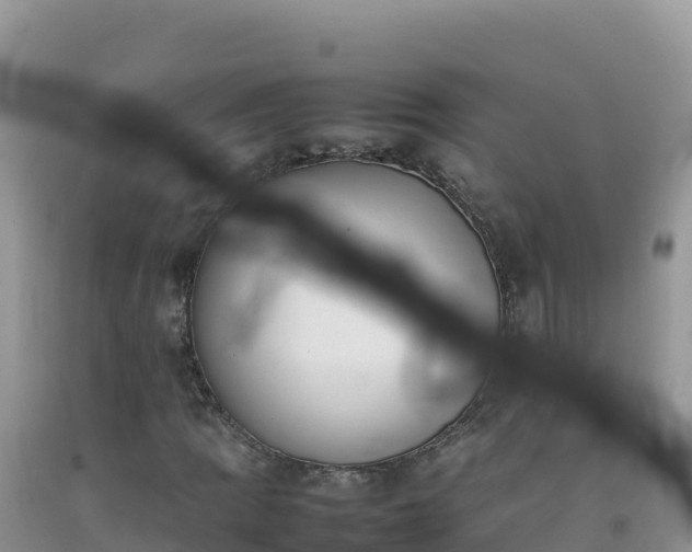 X0000092101109200709191301