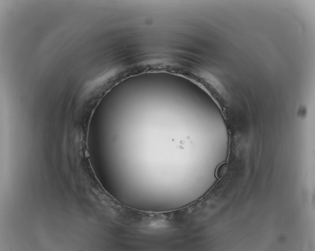 X0000092101111200709191301