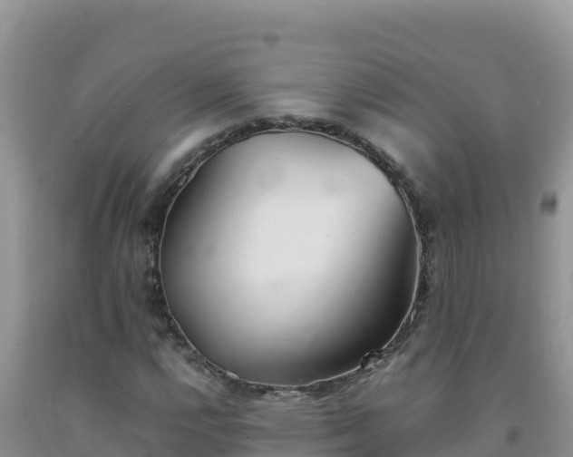 X0000092101112200709191301