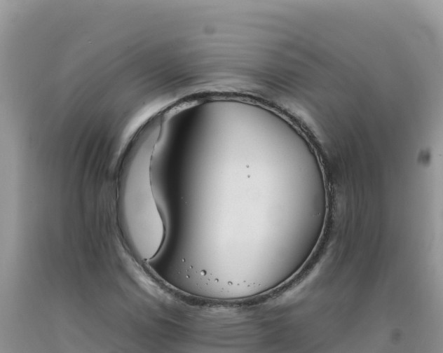 X0000092101114200709191301