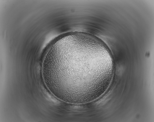 X0000092101115200709191301