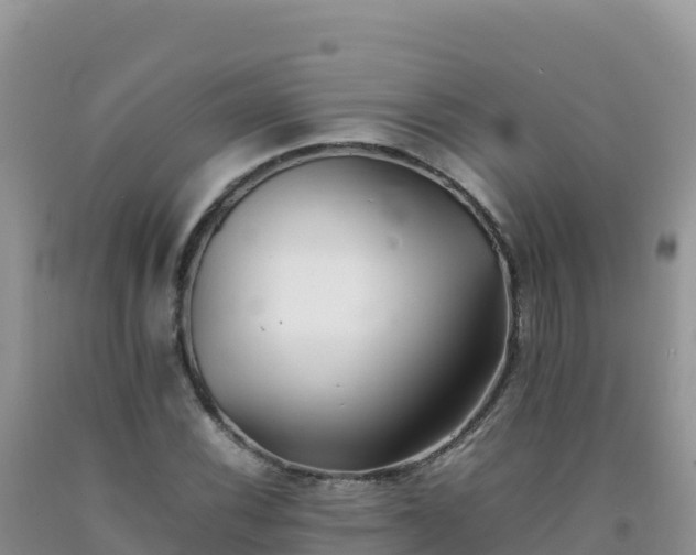 X0000092101116200709191301