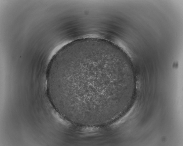 X0000092101117200709191301