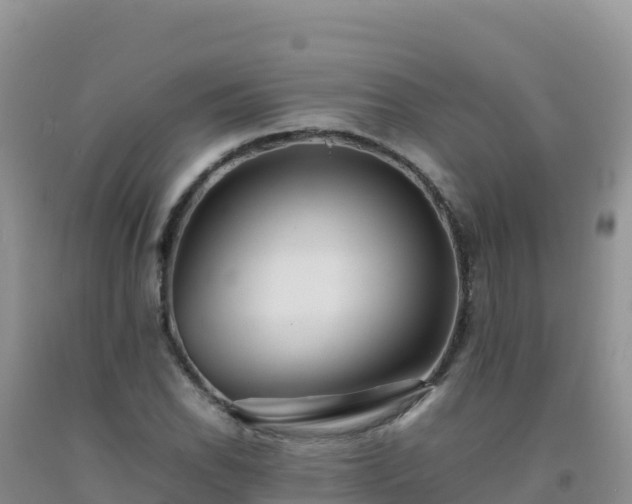 X0000092101118200709191301