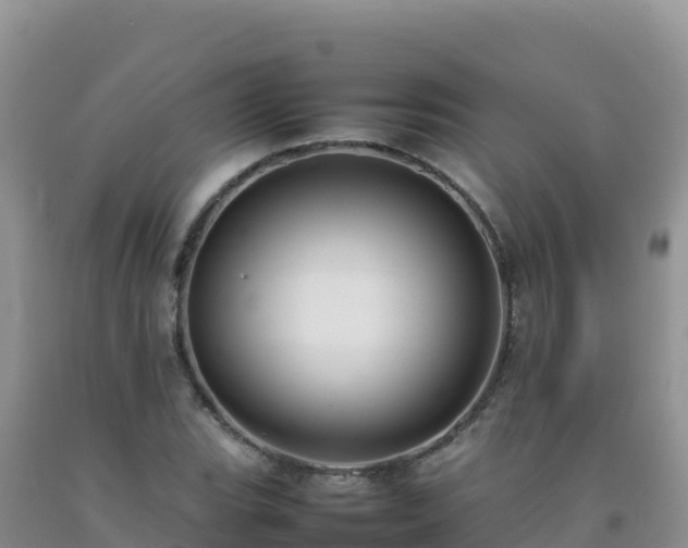 X0000092101119200709191301