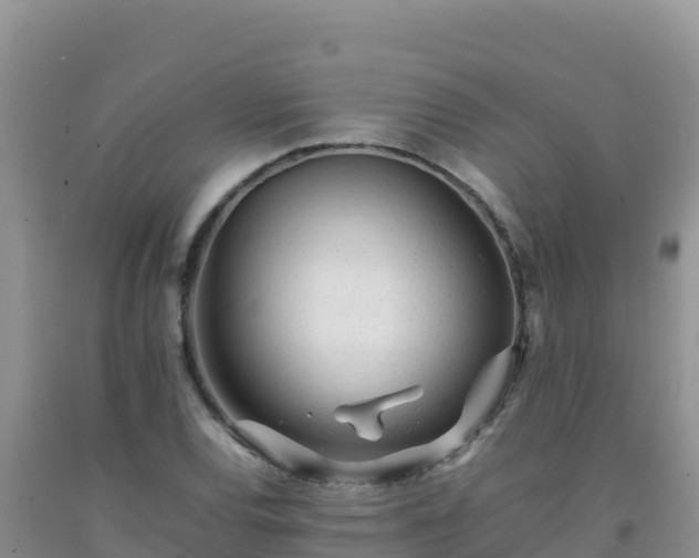 X0000092101120200709191301