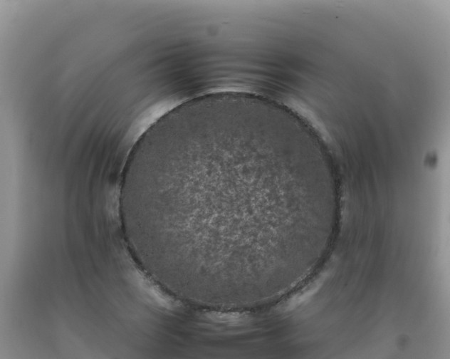 X0000092101121200709191301