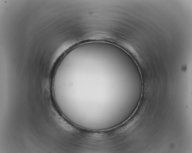 X0000092101122200709191301