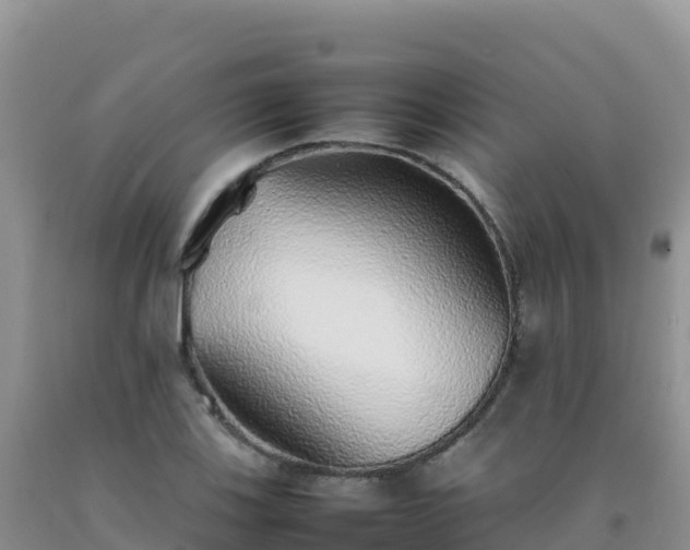 X0000092101123200709191301