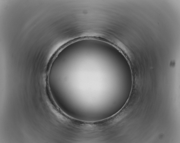 X0000092101124200709191301