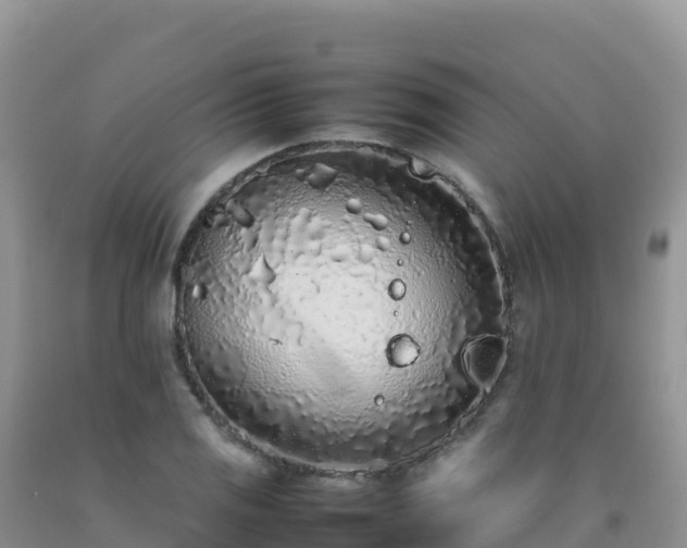 X0000092101125200709191301