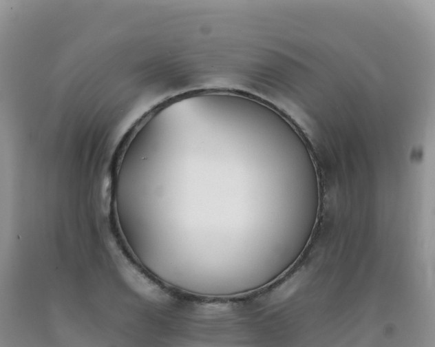 X0000092101126200709191301