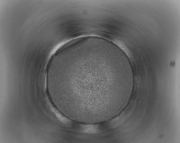 X0000092101127200709191301