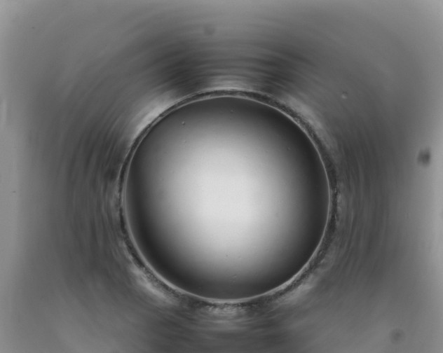 X0000092101129200709191301