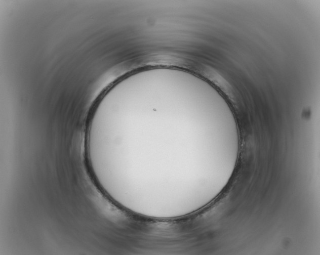 X0000092101130200709191301