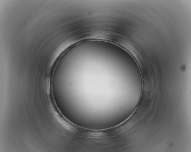 X0000092101131200709191301