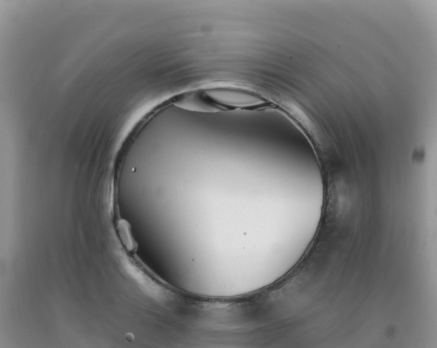 X0000092101132200709191301