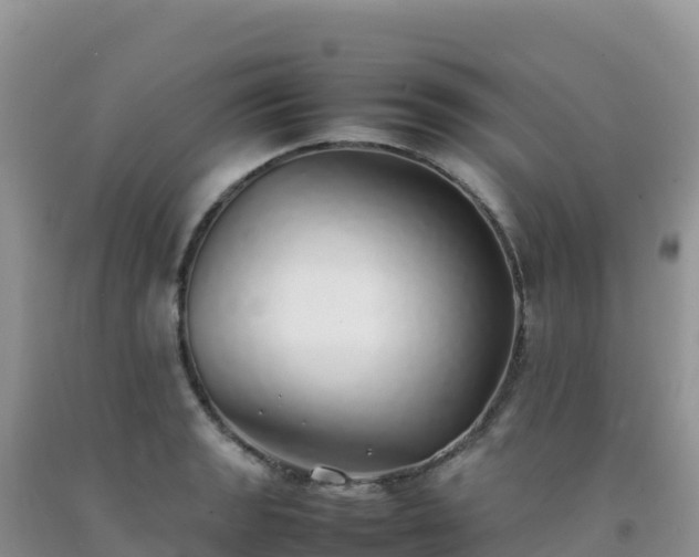 X0000092101133200709191301