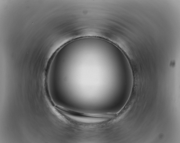 X0000092101134200709191301