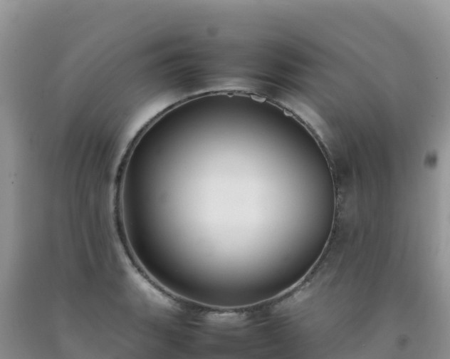 X0000092101135200709191301