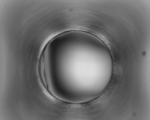 X0000092101136200709191301