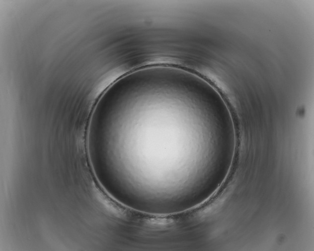 X0000092101137200709191301