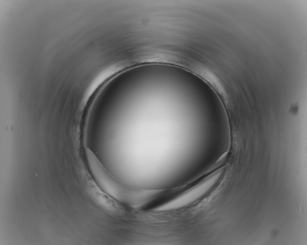 X0000092101138200709191301