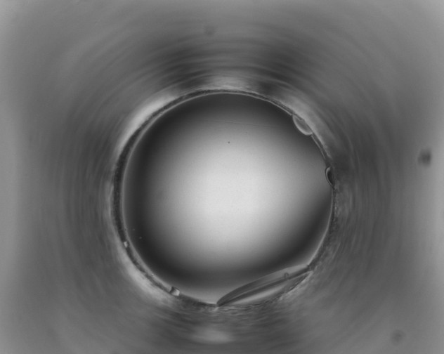 X0000092101139200709191301