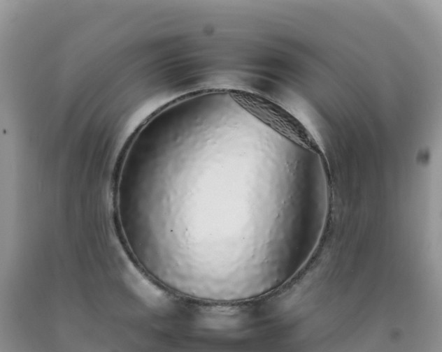 X0000092101141200709191301