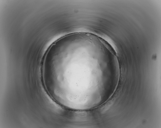 X0000092101142200709191301