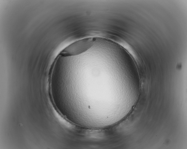 X0000092101143200709191301