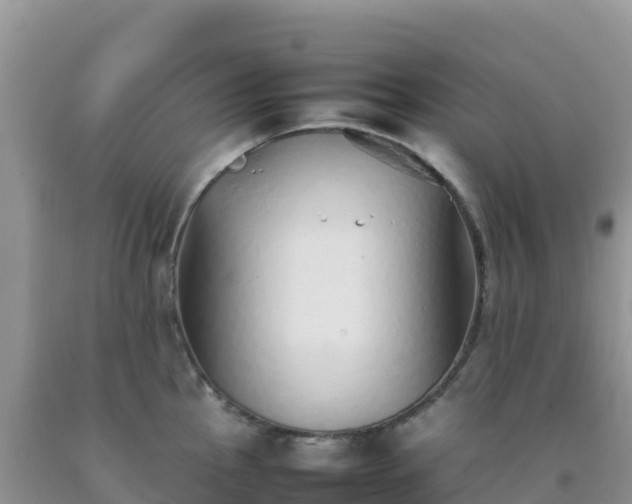 X0000092101145200709191301