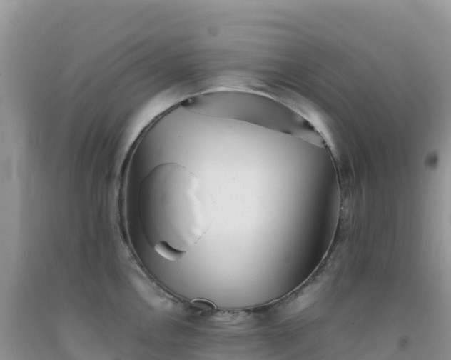 X0000092101146200709191301