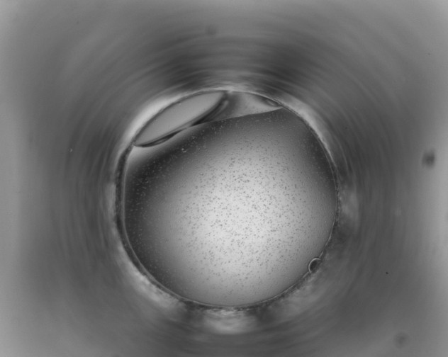 X0000092101147200709191301