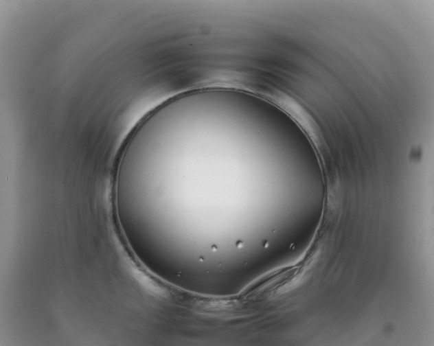 X0000092101149200709191301