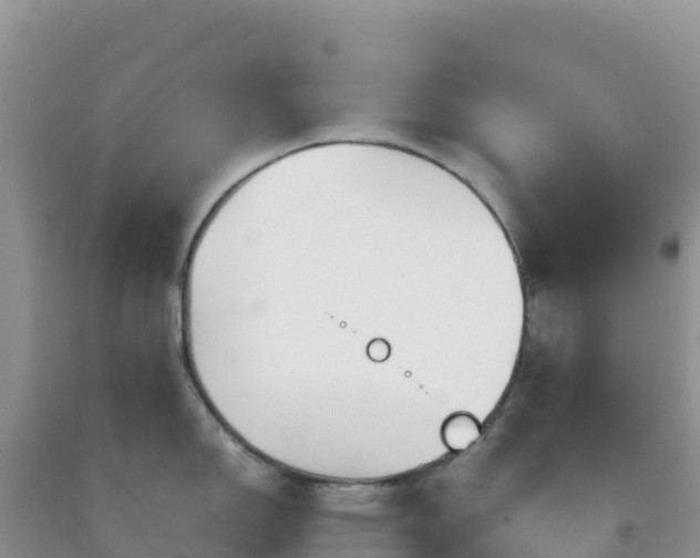 X0000092101150200709191301