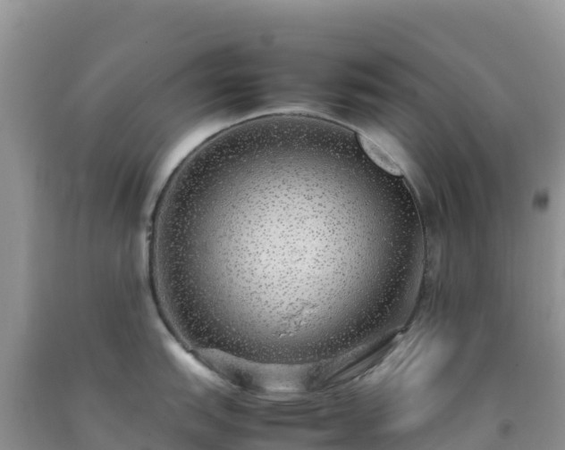 X0000092101151200709191301