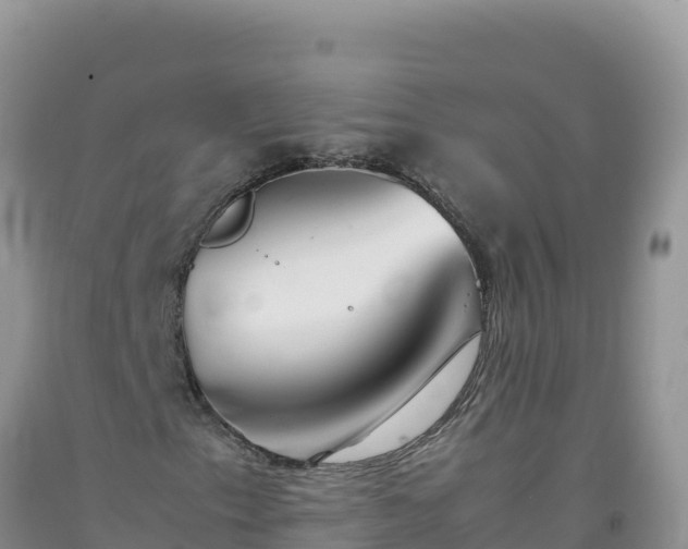 X0000092101153200709191301