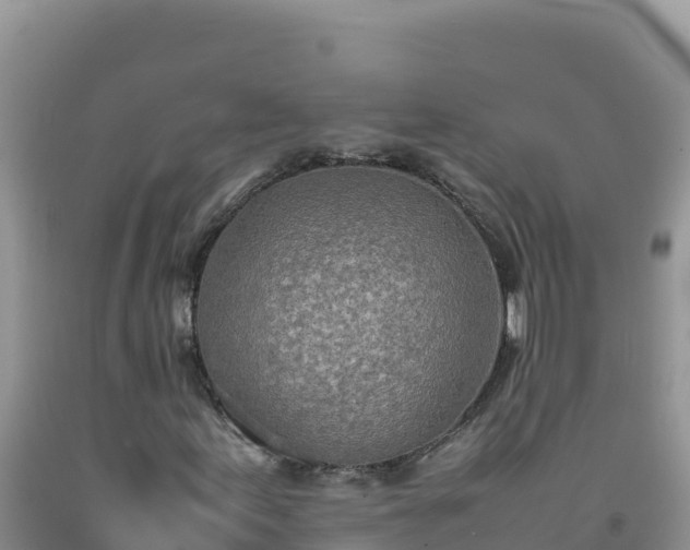 X0000092101155200709191301