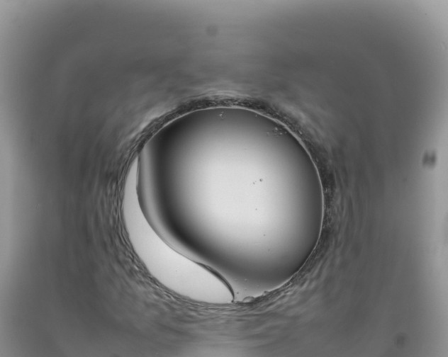 X0000092101157200709191301