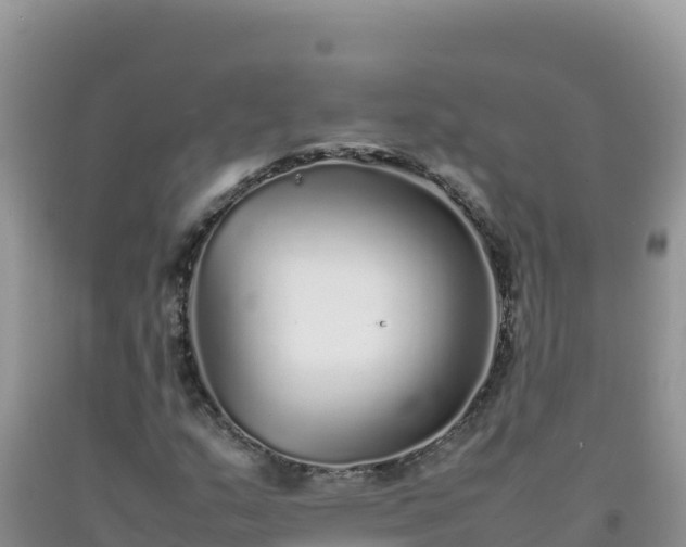 X0000092101159200709191301