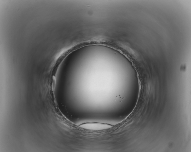 X0000092101160200709191301