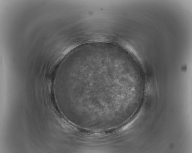 X0000092101161200709191301