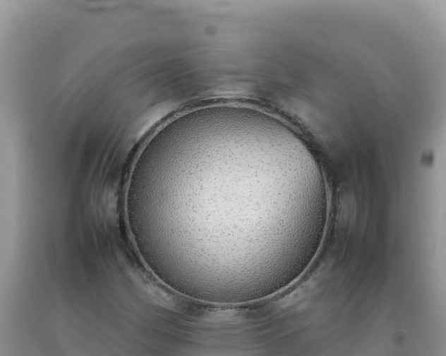 X0000092101162200709191301